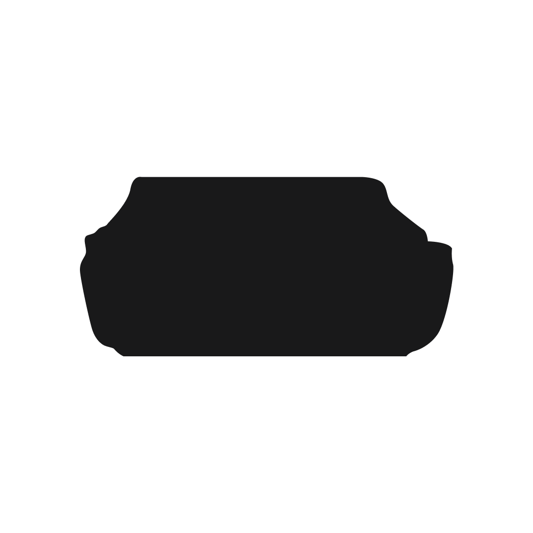 Audi A6 (1996-2003) Boot Mat Mat Shape