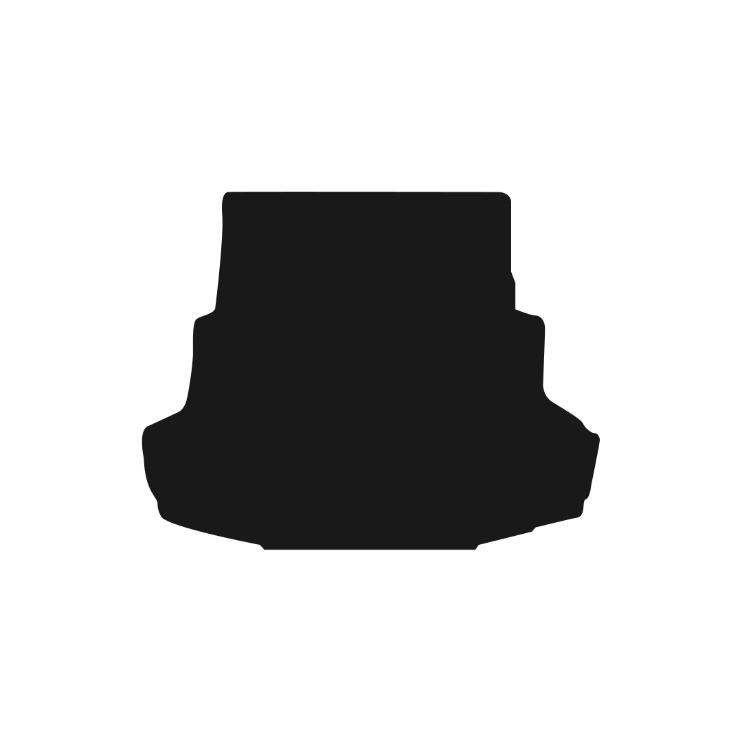 Mercedes CLS (2005-2011) Boot Mat Mat Shape